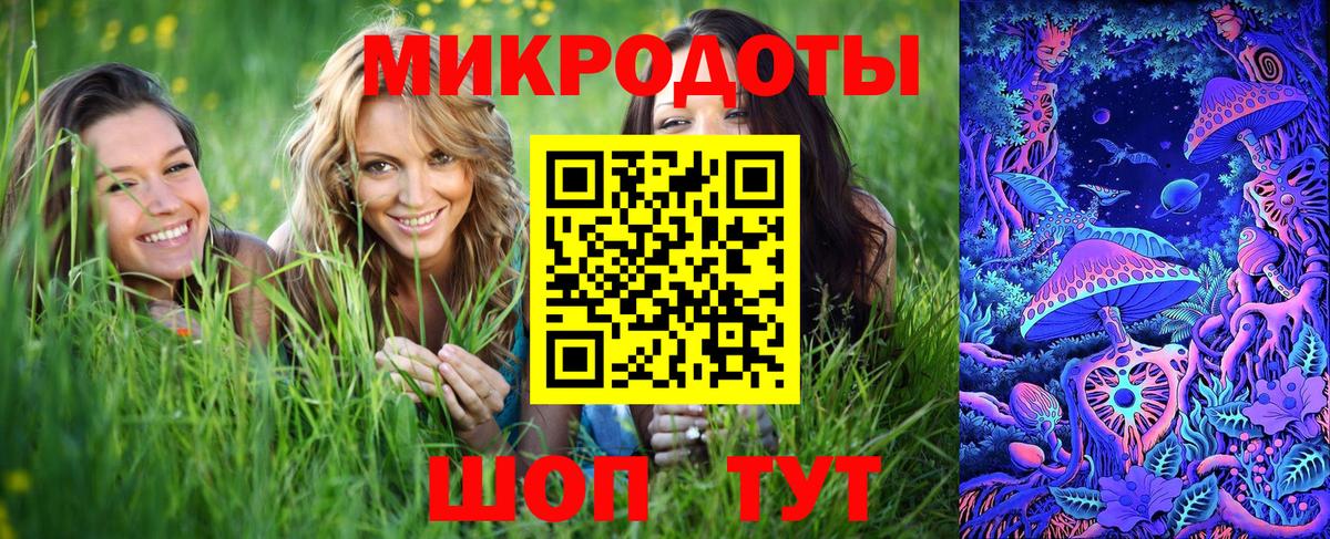 Псилоцибиновые грибы прущие грибы  Вход с VPN  Павловский Посад 